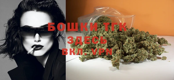 прущий лед Ельня