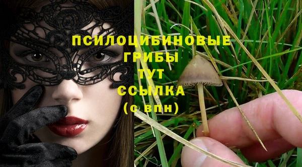 соль курить ск Елабуга