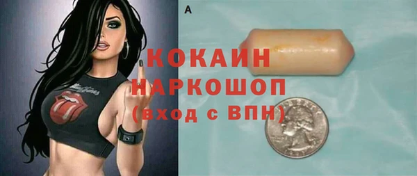 прущий лед Ельня