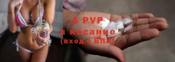 прущий лед Ельня
