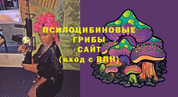 прущий лед Ельня